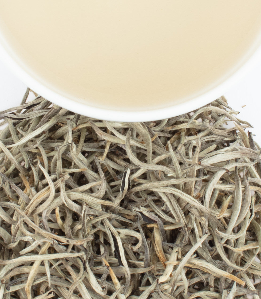 Artisanal Ceylon Argent tea leaves with a cup of brewed tea above, showcasing delicate silver tips.