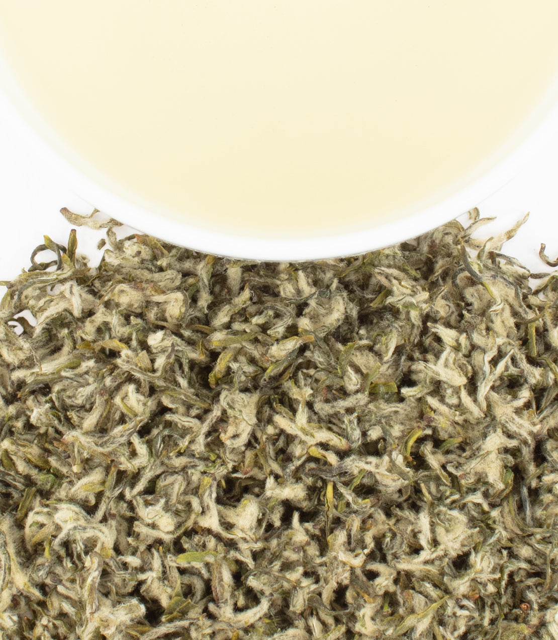 Bi Lo Chun green tea leaves with a cup of pale yellow brewed tea above, showcasing its delicate appearance.