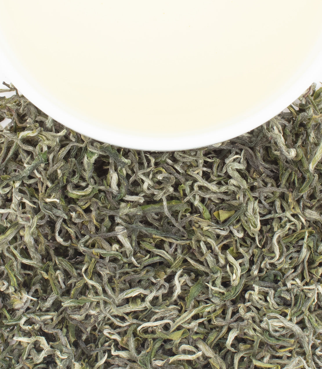 A white cup rests beside a pile of curly, green tea leaves.