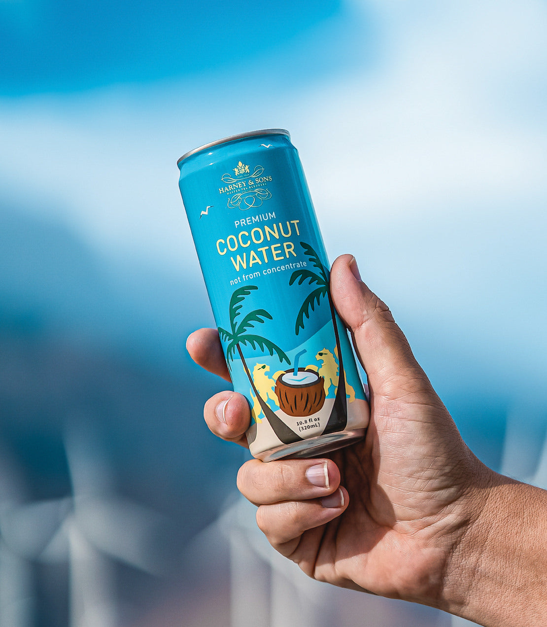 Hand holding a can of Harney & Sons Premium Coconut Water against a scenic background. Refreshing beverage choice.
