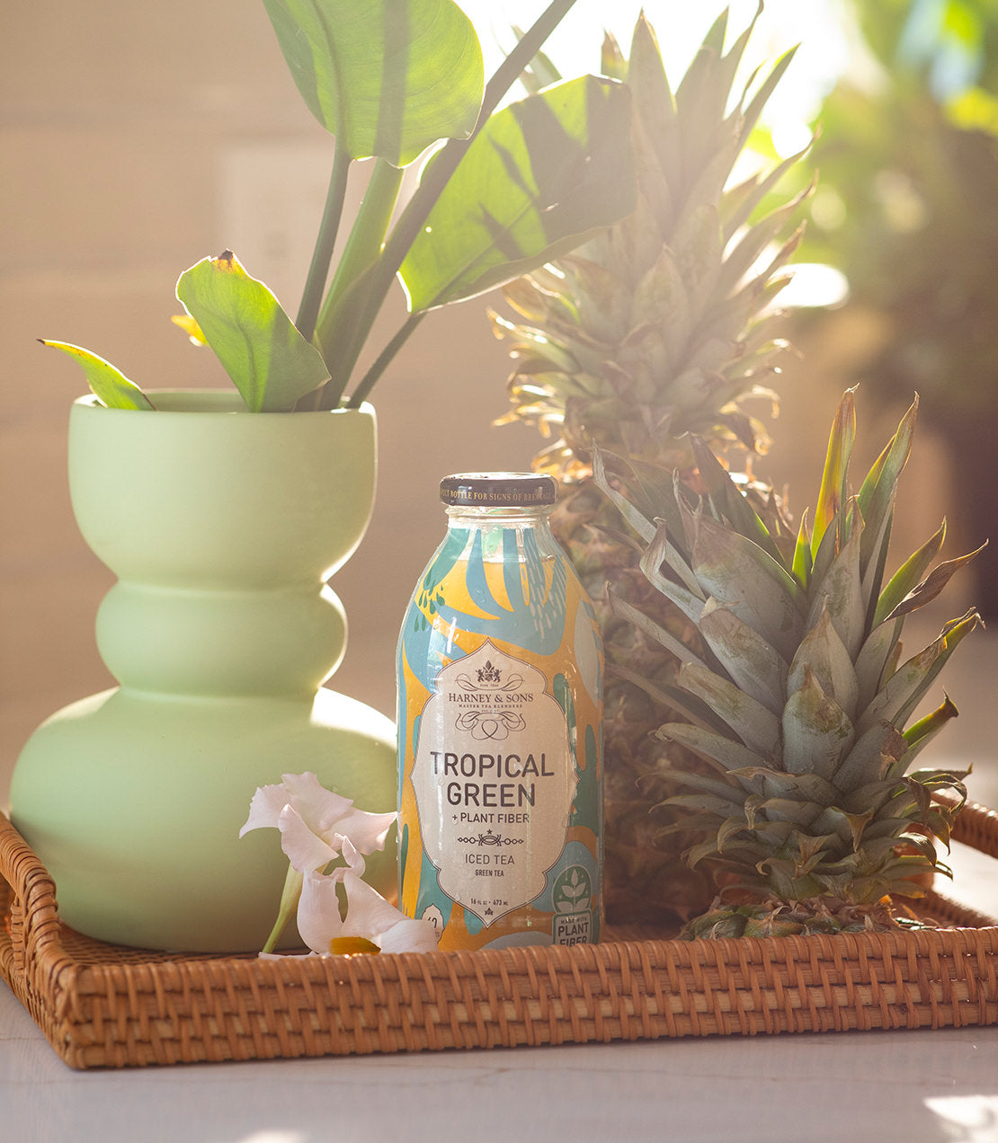 Bottle of Tropical Green Plant Fiber Iced Tea surrounded by pineapples and a green vase with plants.