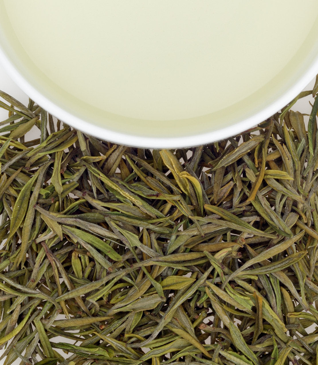 Fresh Anji Baicha tea leaves with a cup of pale green tea above, showcasing its delicate color and texture.