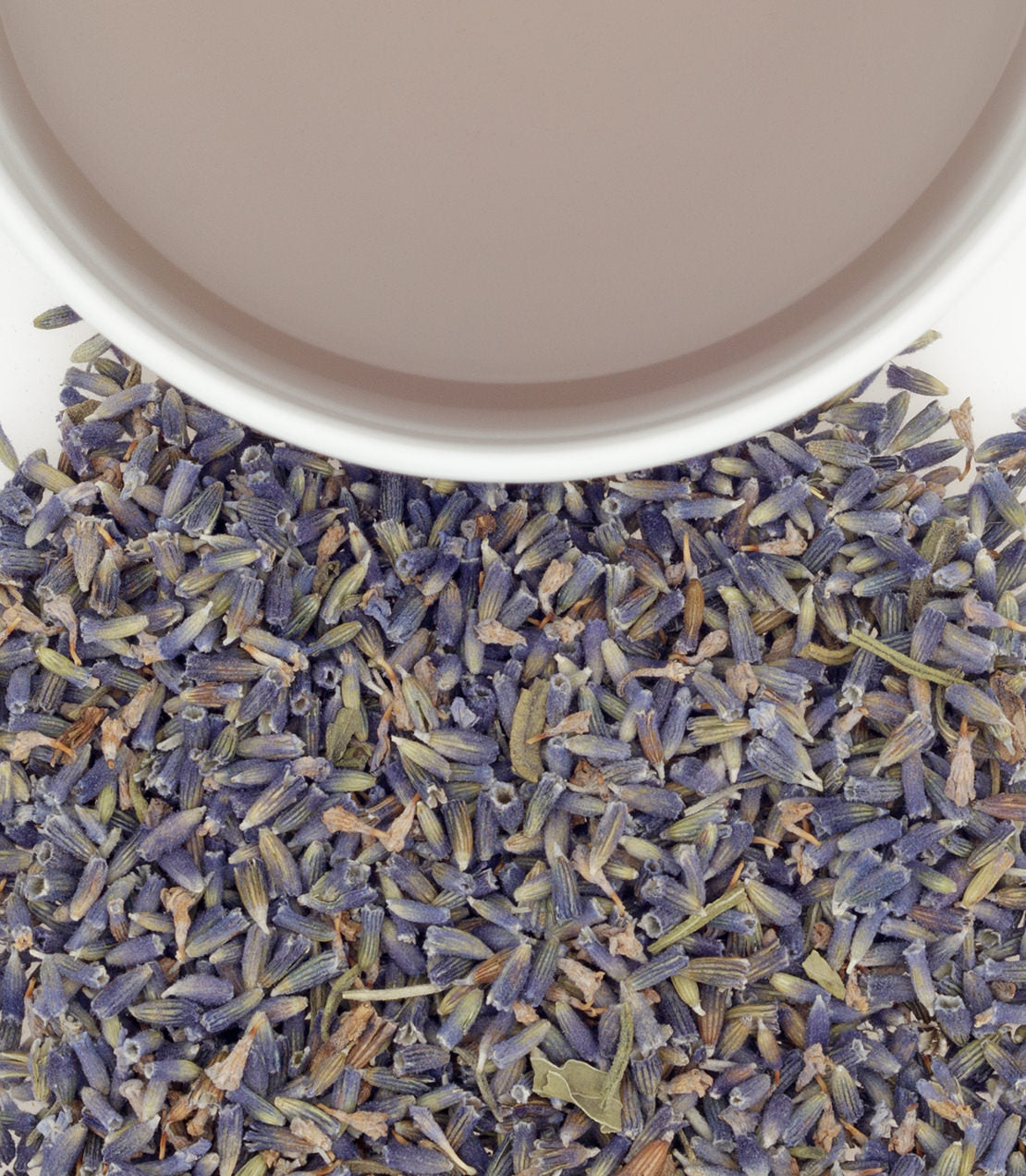Dried French Super Blue Lavender flowers scattered around a white bowl filled with lavender-infused liquid.