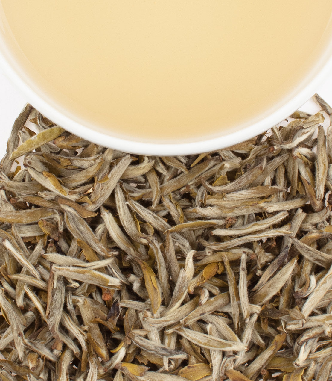 Jasmine Silver Needles tea leaves with a cup of pale yellow tea above, showcasing delicate silver tips.