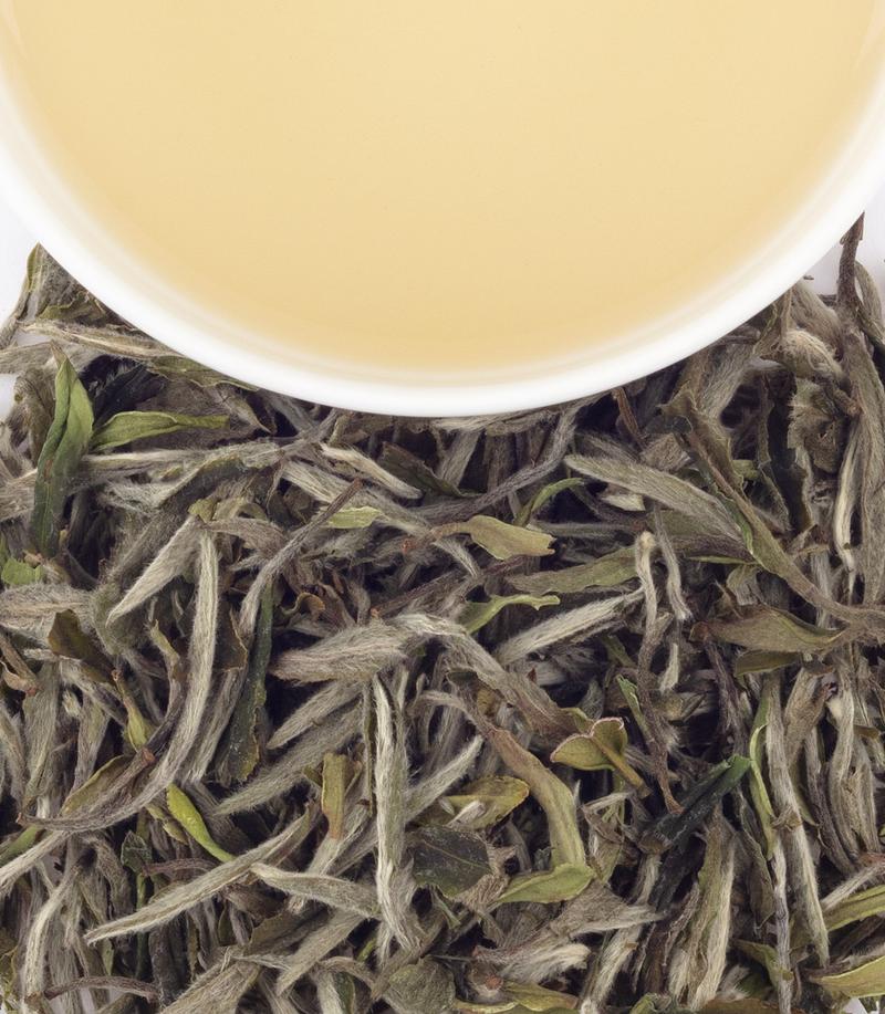 "King of Bai Mudan white tea leaves with brewed tea in a cup, showcasing delicate green and silver hues.