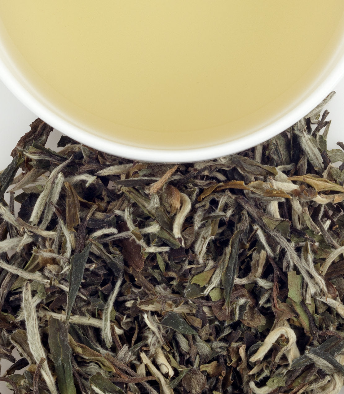 Close-up of Mutan White tea leaves with a cup of pale yellow tea above, showcasing its delicate appearance.