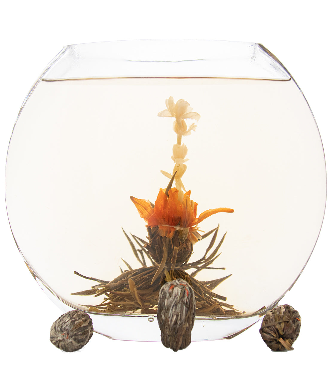 Jasmine Fairy Maidens tea bloom in a clear glass teapot, showcasing vibrant flowers and herbal elements.