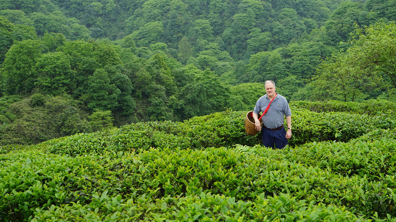 Mike Harney Spills the Tea on World Travel Bucket List for Tea Lovers