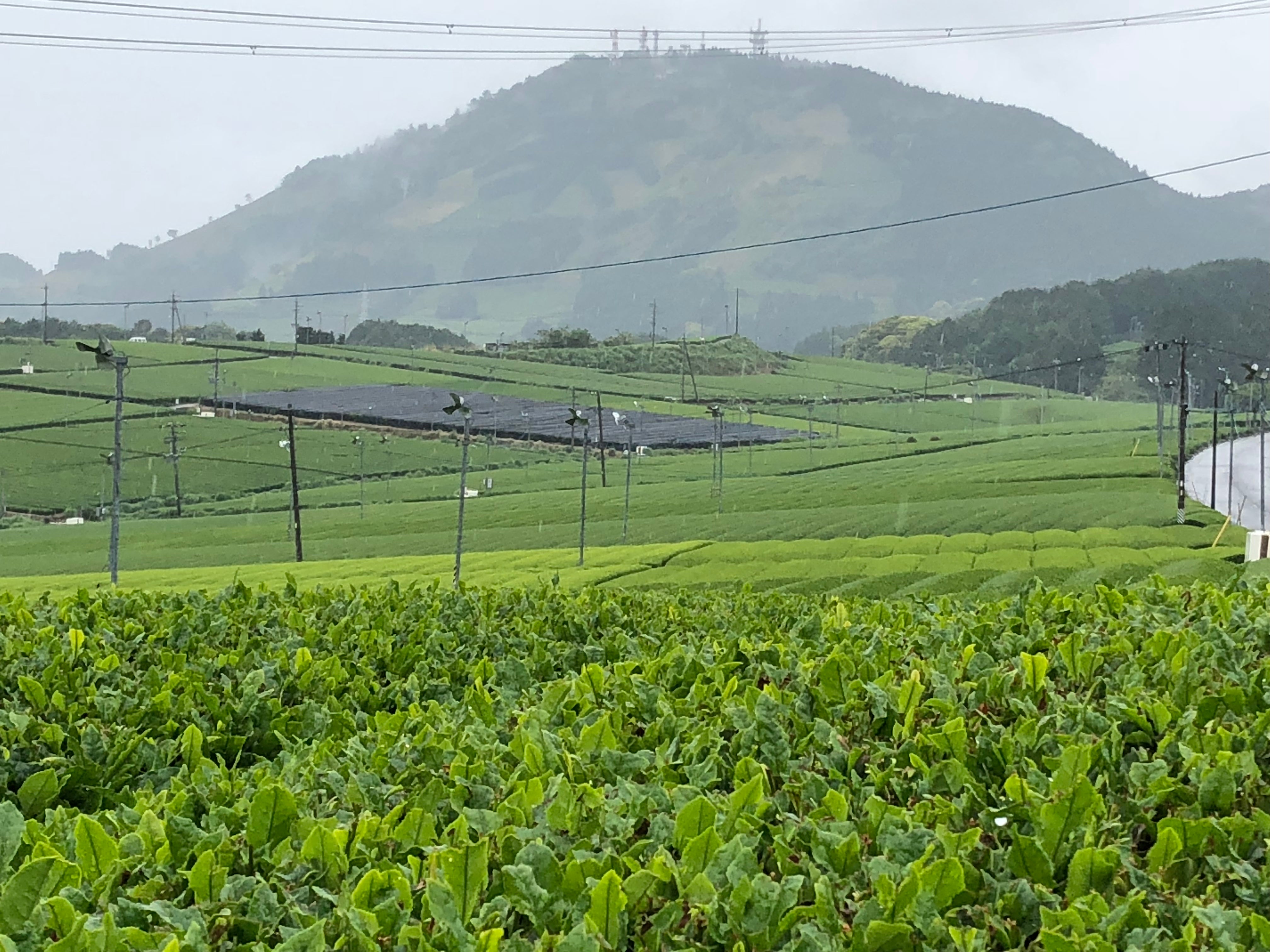 Japan 2018 Kakegawa