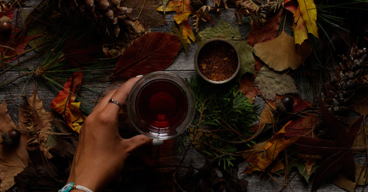 7 Fall Tea Flavors You Need to Try This Autumn