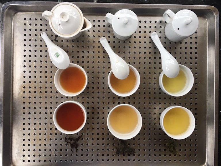 Your Tea Tastes Great Because of Science