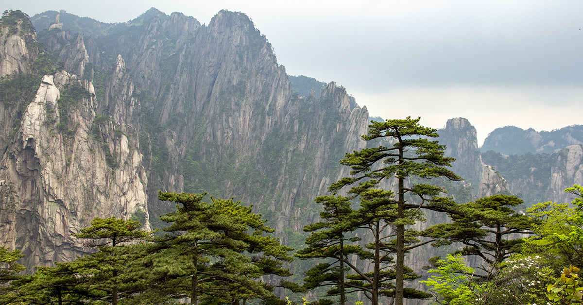 Chinese Tea Regions: Anhui