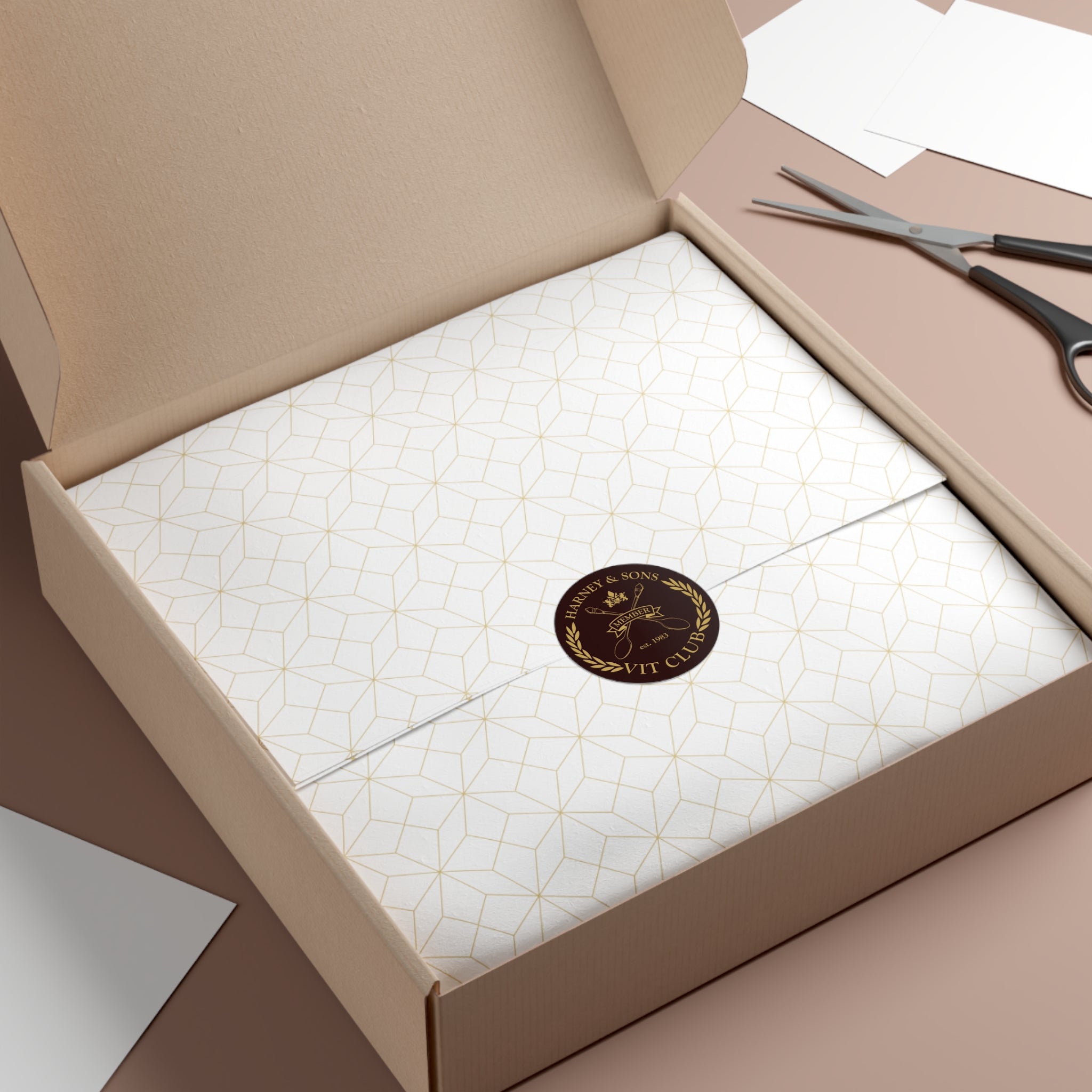 VIT Club round vinyl stickers displayed in a neatly packaged box with elegant wrapping and scissors nearby.