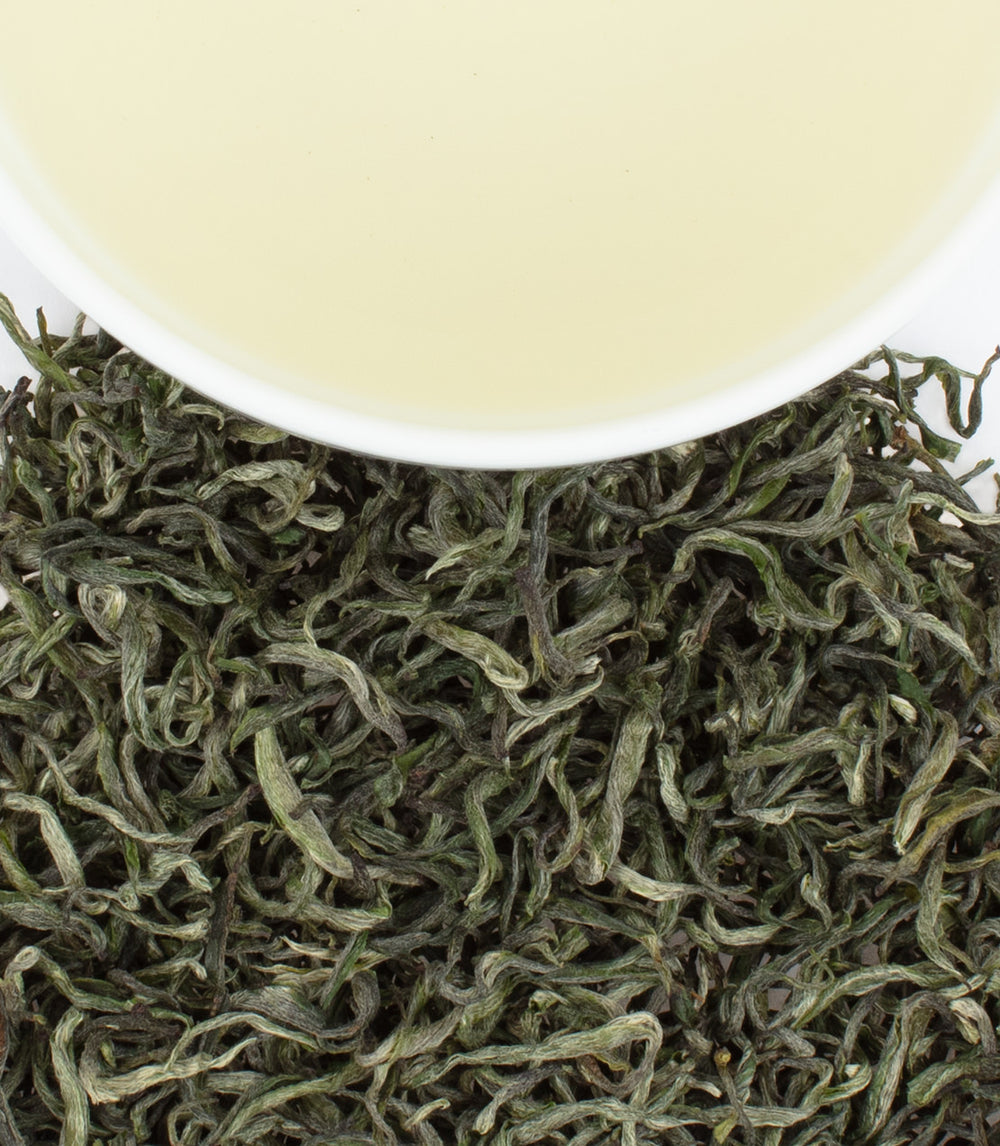 Golden Green tea leaves with a cup of pale green tea above, showcasing the tea's delicate color and texture.