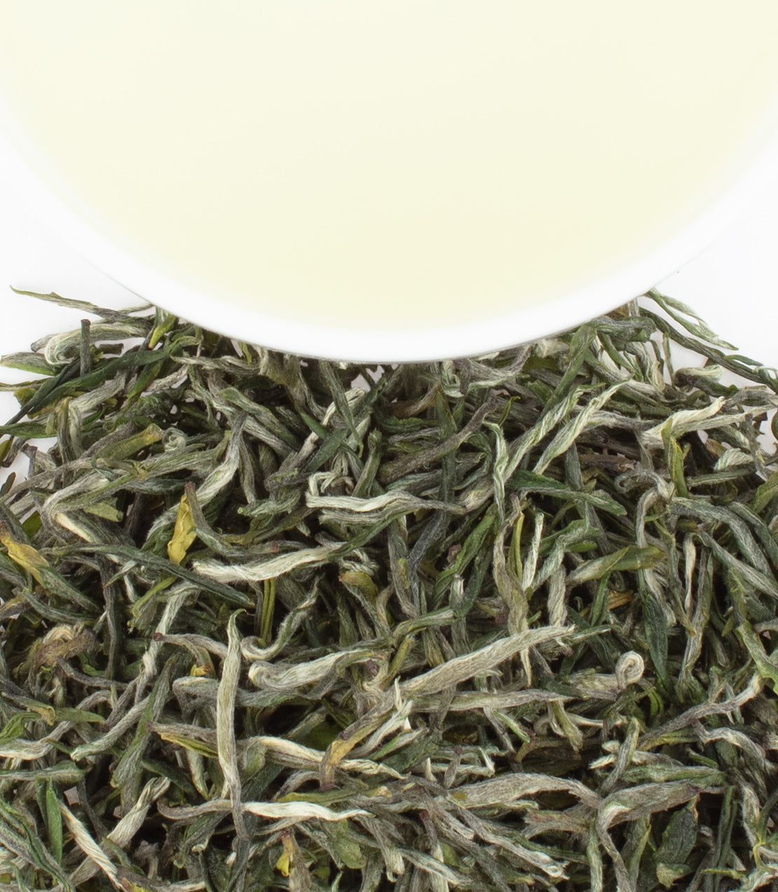 Dried green tea leaves with a cup of brewed green tea above, showcasing the vibrant color and texture.