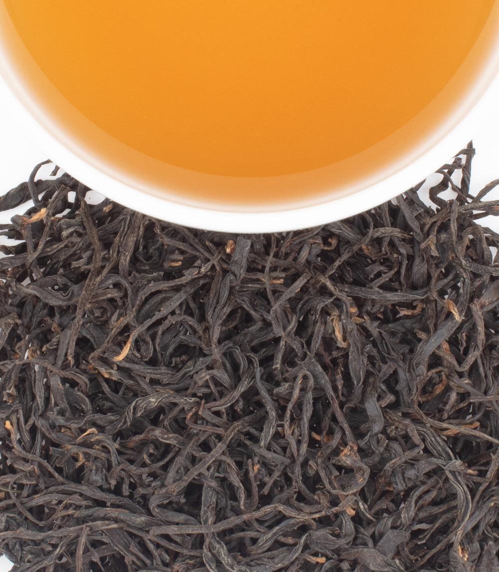 A cup of amber tea sits above a pile of dark, twisted loose-leaf tea.