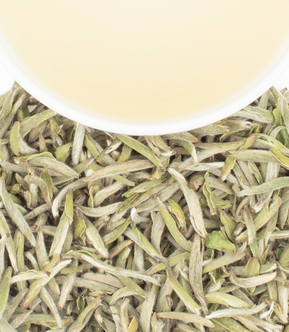 Freshly brewed Chinese Silver Needle tea in a white cup, surrounded by loose Chinese Silver Needle tea leaves.