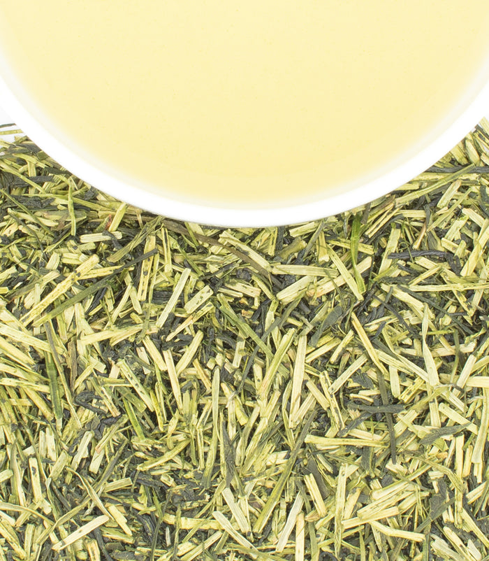 Kukicha Green Tea Stems | Low Caffeine Harney & Sons