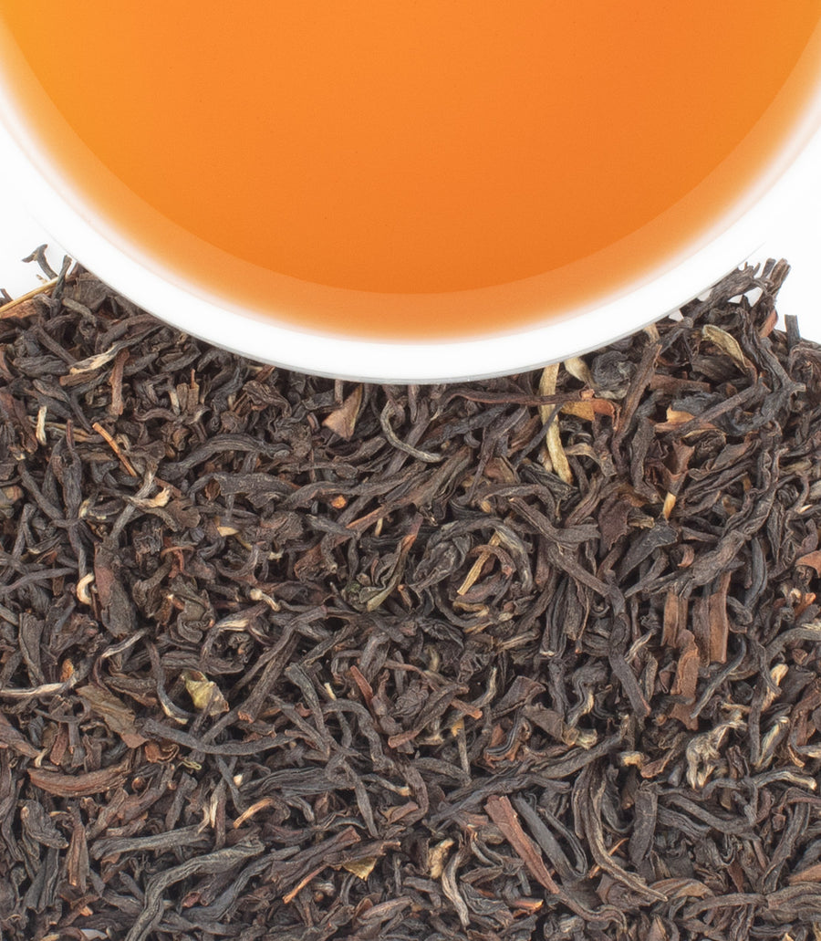 Darjeeling Black Tea Collection - Harney & Sons