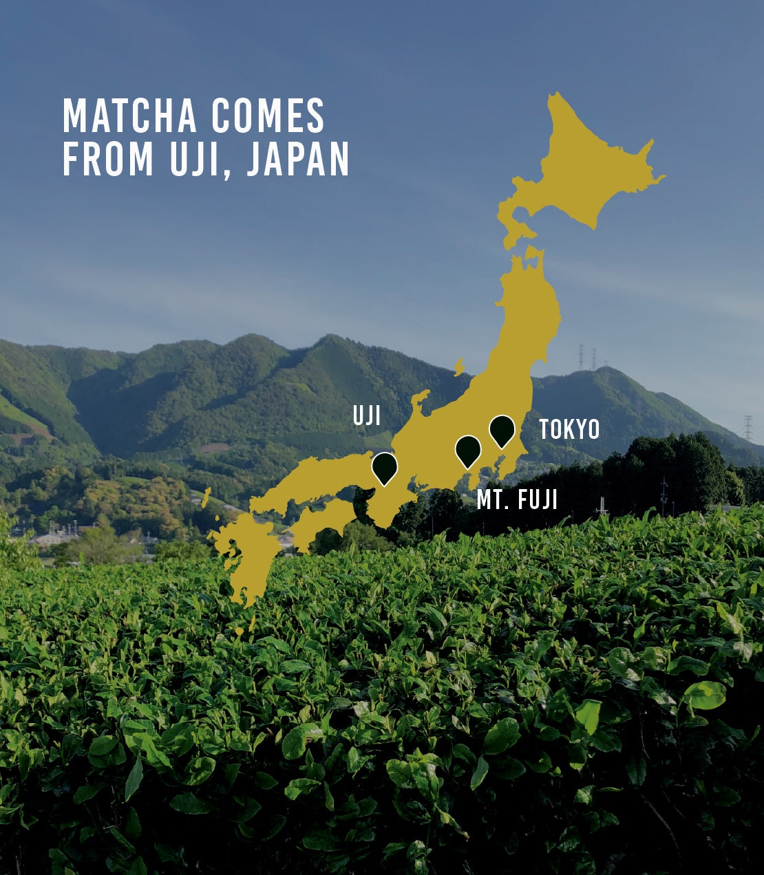 Map of Japan highlighting Uji with a tea field in the foreground.

Matcha comes from Uji, Japan.