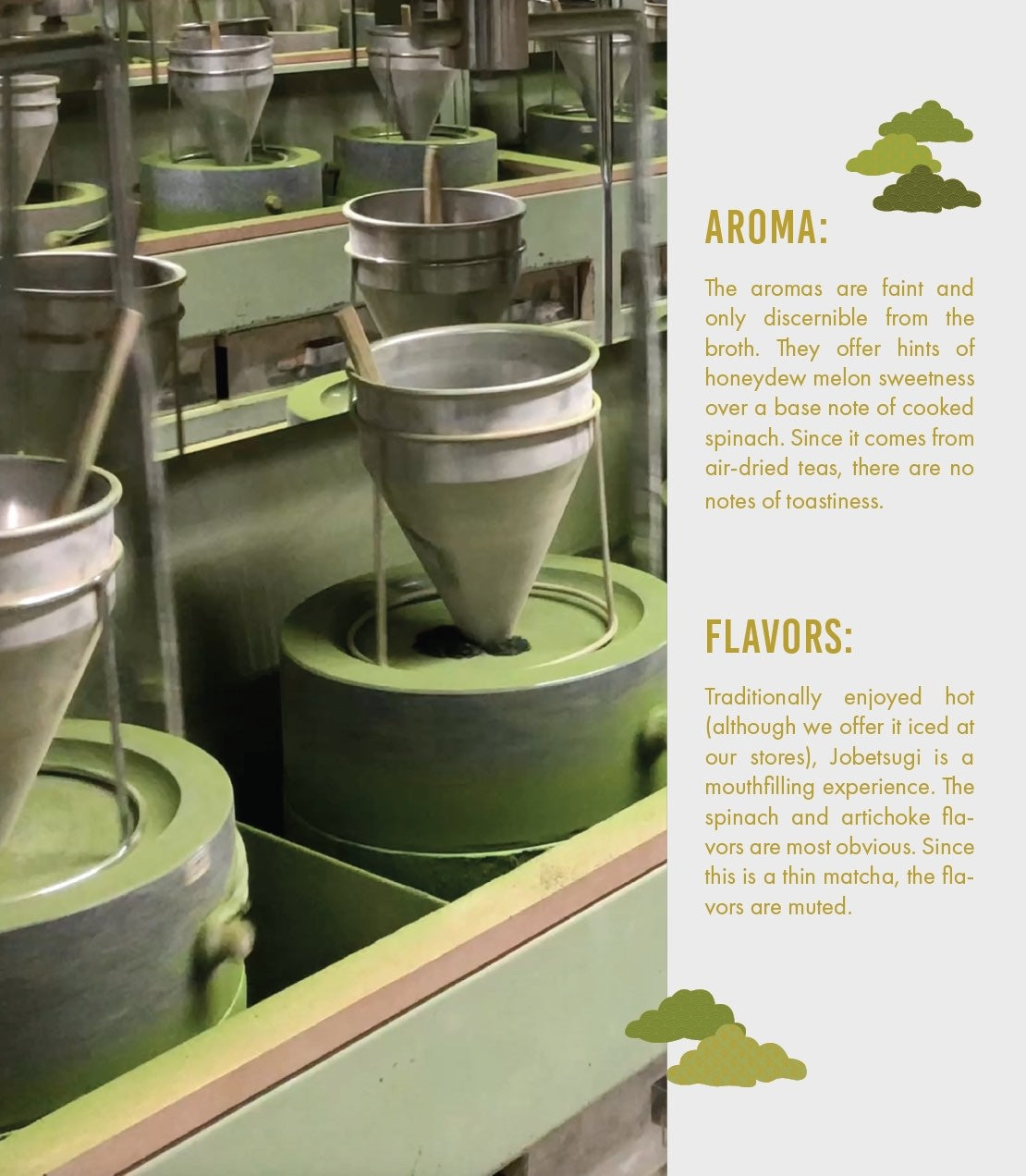 Ceremonial Matcha Thick Grade | Senjunomukashi