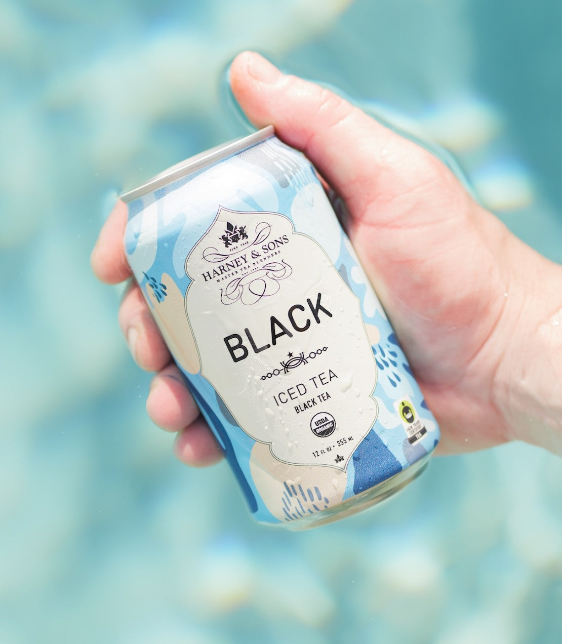 Hand holding a can of Harney & Sons Black Iced Tea against a blurred natural background.