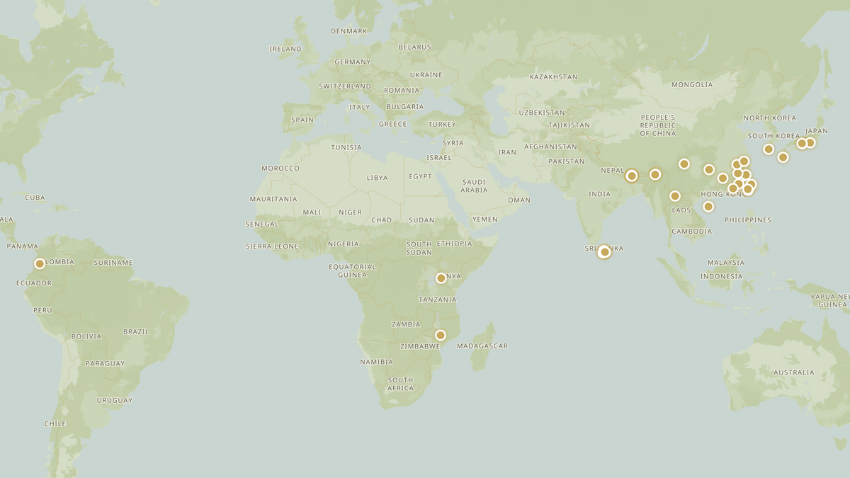 World map showing where Harney and Sons rare teas grow, from Colombia through Africa, Sri Lanka, India, China, Taiwan, Korea and Japan