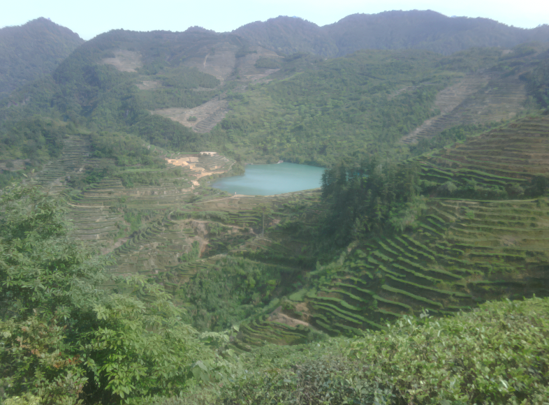 Terraced tea gardens around a reservoir in the hills of Anxi, Fujian