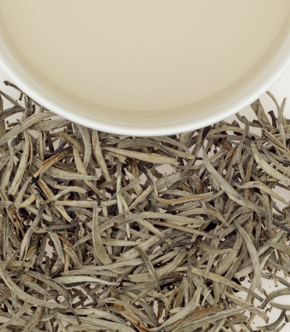 Ceylon Vintage Silver Tips White Tea Harney & Sons Fine Teas