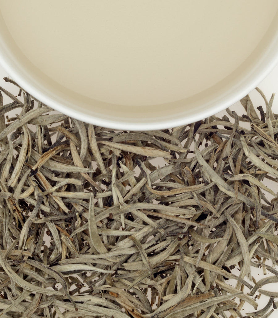 Ceylon Vintage Silver Tips | White Tea - Harney & Sons Fine Teas