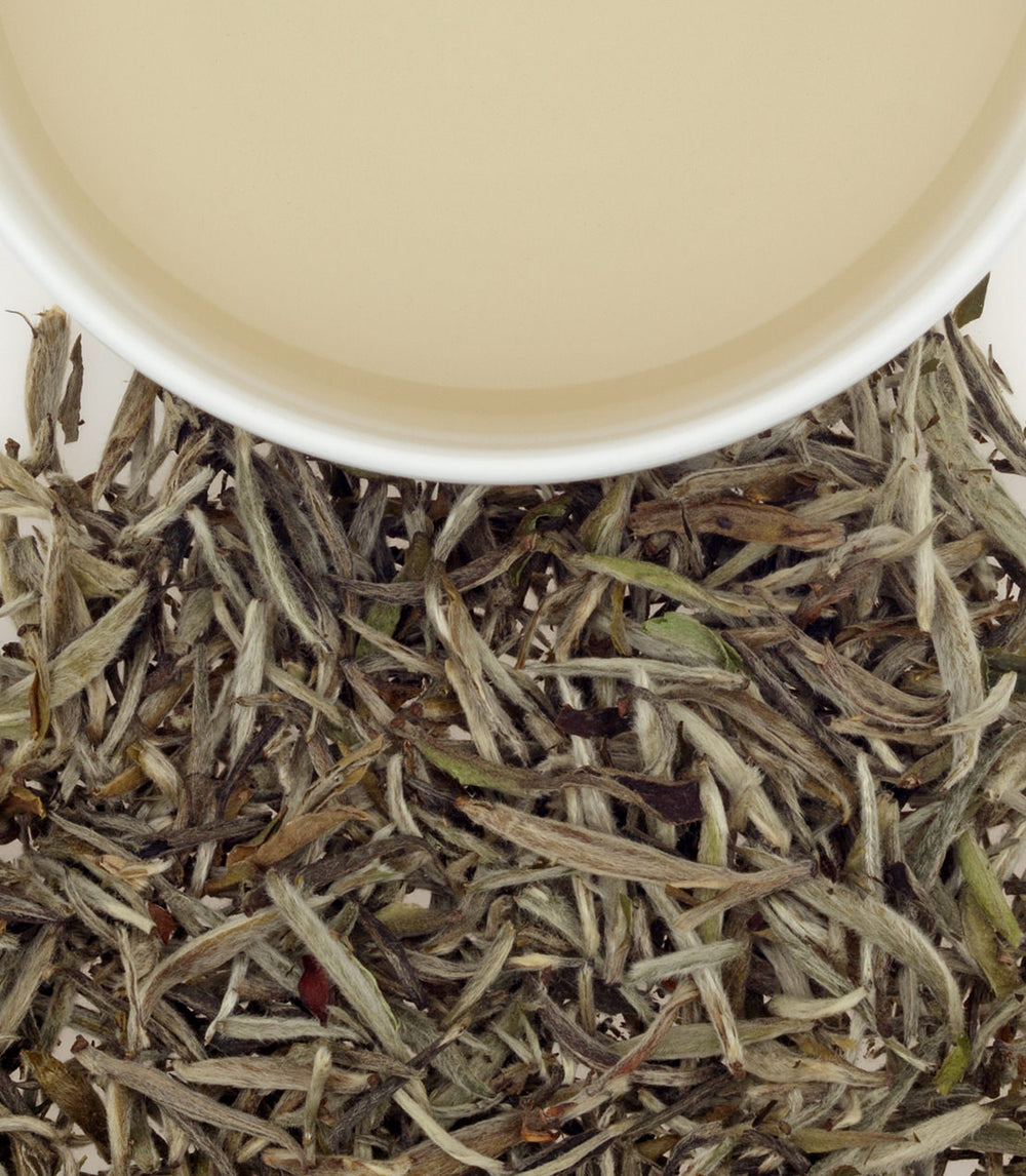 Chinese Silver Needle White Tea Harney & Sons Fine Teas