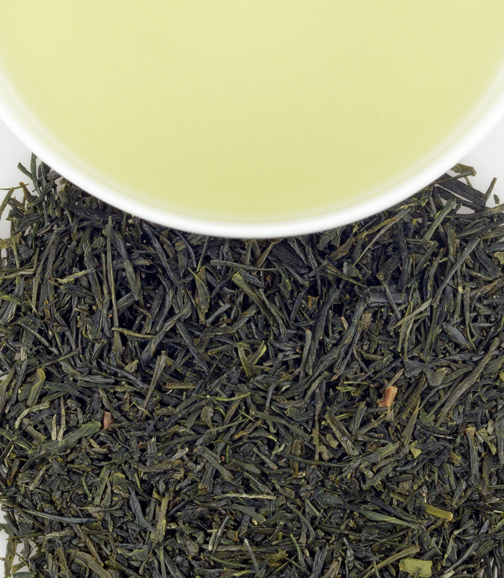 Matsuda's Sencha | Japanese Green Tea - Harney & Sons Fine Teas