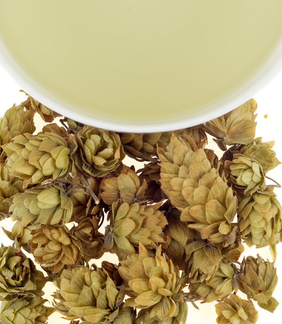 Dried New England Teamaker hops arranged around a white bowl of pale green liquid, showcasing their texture and color.