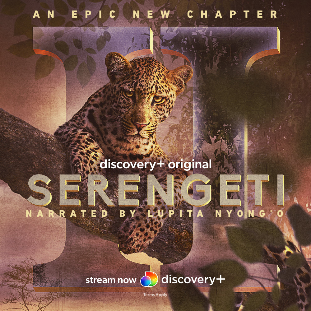 Serengetea -   - Harney & Sons Fine Teas