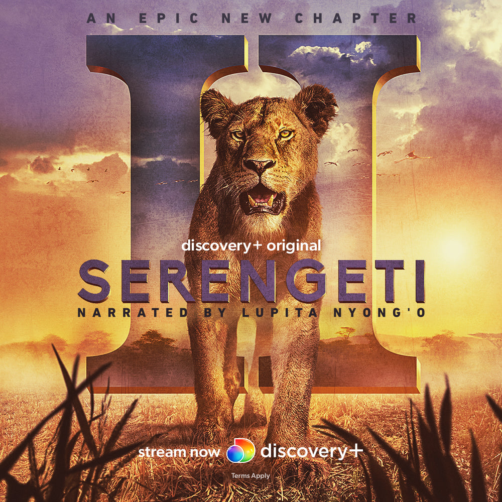 Serengetea -   - Harney & Sons Fine Teas